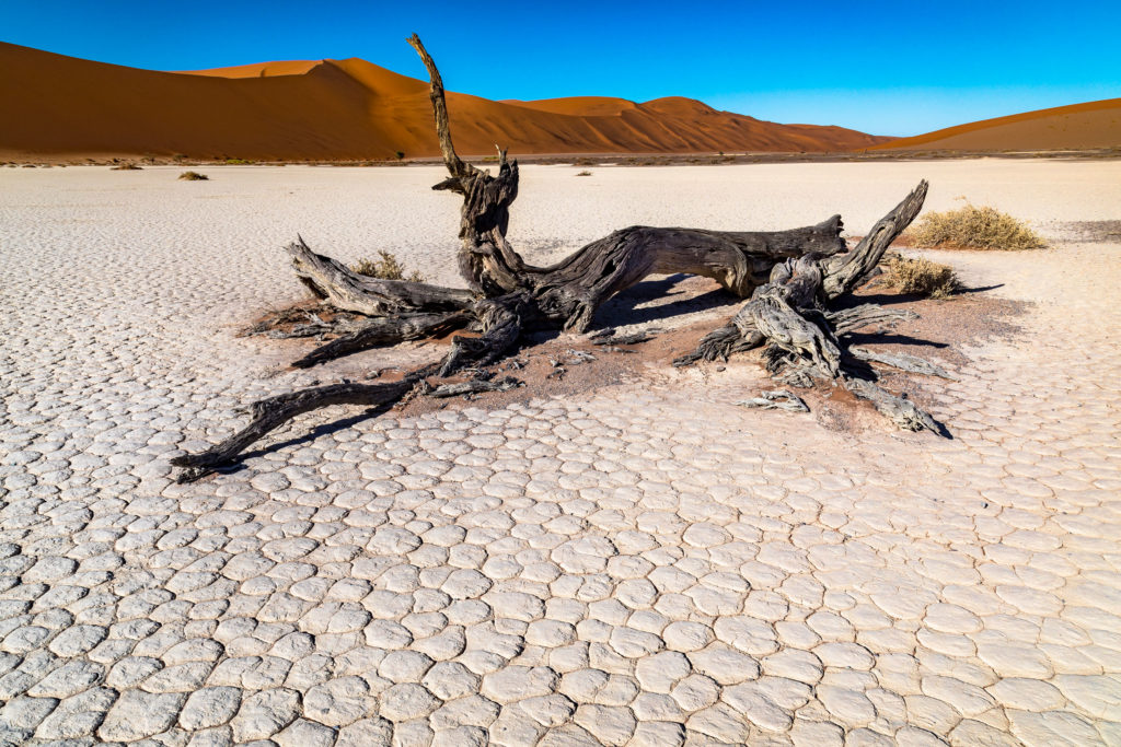 Deserto bianco in Namibia